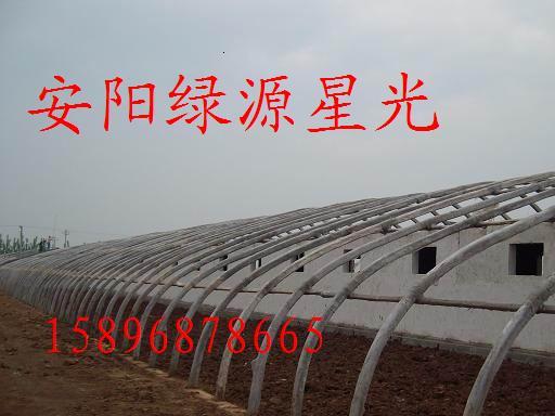 ҴǼֳܻǼܻԴǹ