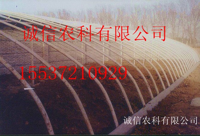 ǼܻʹǼܻҴǼܻ