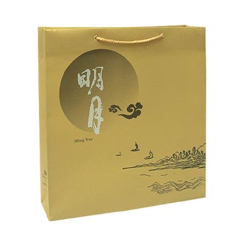 PP广告LOGO袋/礼品袋