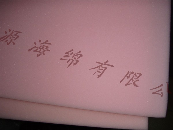 纣ർ޺ർEVAĭ