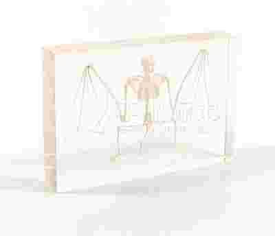 սСѧʵұ걾ձ걾
