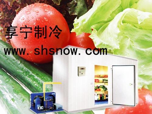 ʿ豸װ