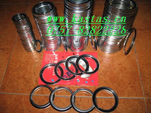 STEFA˸ͷ9RBRE130-48-4.5-6.5GammaringGAMMAȦ