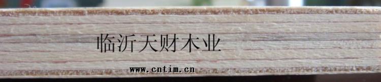20mm/22mm/25mmLVB顺向板,层次分明,无缝隙
