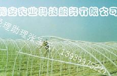 ǼܻǼܴ֧ܻ߲˴Ǽܻ