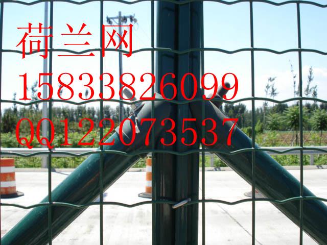 ƽ(15833826099)
