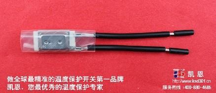 温度保护器电机东莞凯恩,中国的温度保护器电机制造商