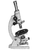ƫ΢(XPT-7)