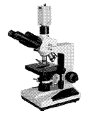Ŀ΢XSP-8C