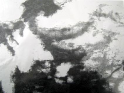 ˮϴֽ̽