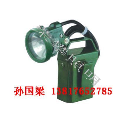 IW5100GFЯʽǿӦƣIW5100GF