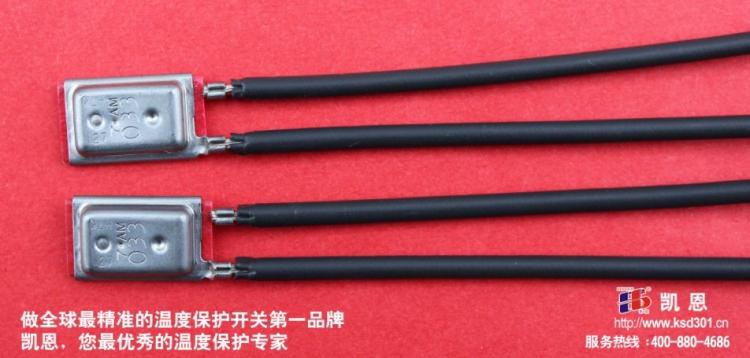 镇流器温度保护开关凯恩,的镇流器温度保护开关制造商