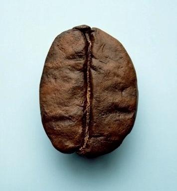 ŰͿ(AA)