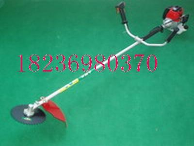 С͸ݻ(NLBG-007)