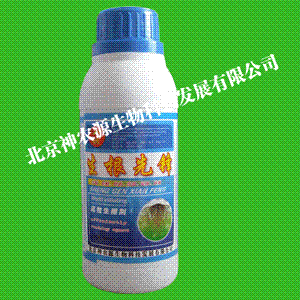 ȷ桪ЧȷЧڼ