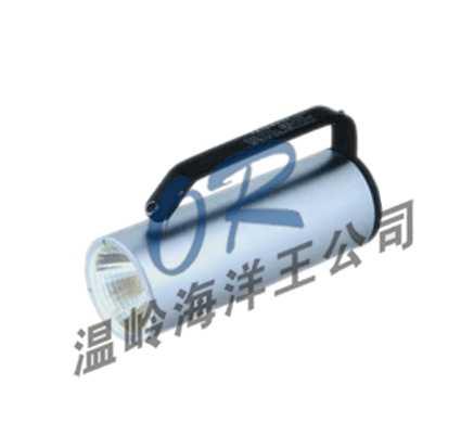 RJW7100ʽ̽յ