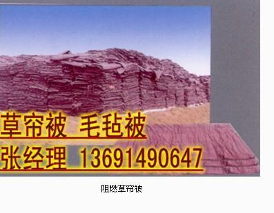۲13691490647
