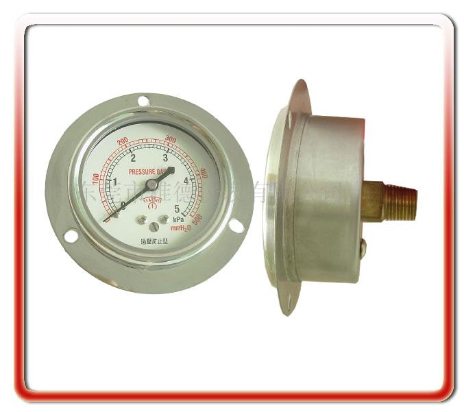 WYE60-LB0160MM΢ѹĤѹˮȼ豸΢ѹ΢ѹ