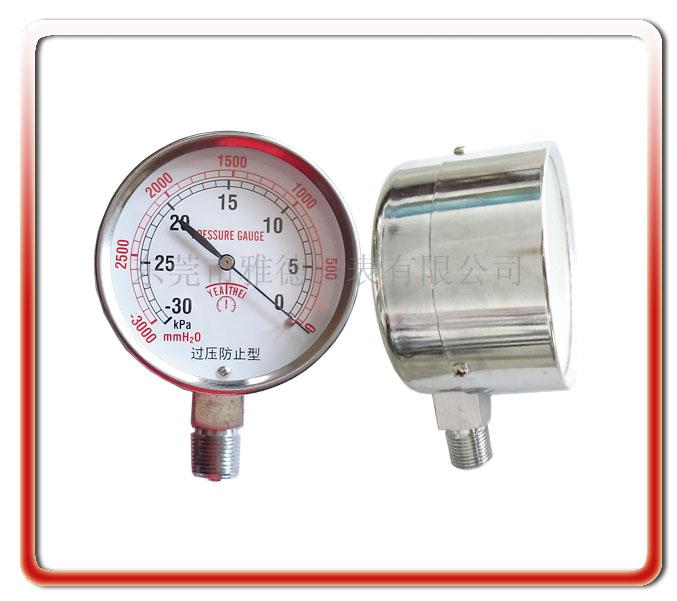 WYE75-F0275MM30KPA΢ѹˮȼ豸΢ѹѹ豸΢ѹ