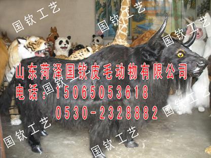 ţģ߶11ţģ