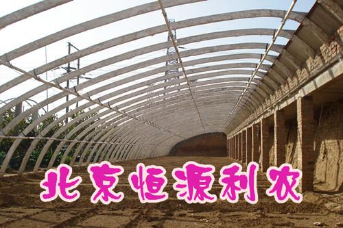 ҴǼܻԴũ