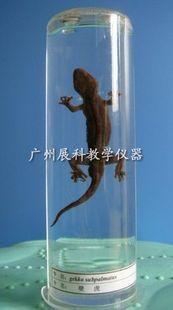 ڻ걾(0)