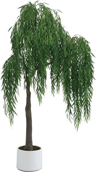 ļӦҬ
