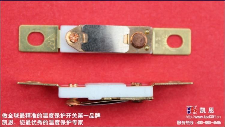 温度保护开关电烤箱东莞凯恩,的温度保护开关制造商