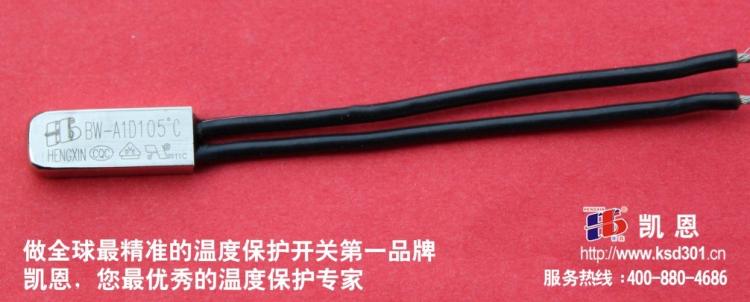 温控器镇流器东莞凯恩BW-A1D-B,的温控器制造商