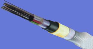 48о¼۸(GYTA-48B1)
