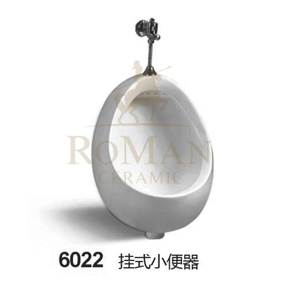 Ʒ-ԡ-С6022