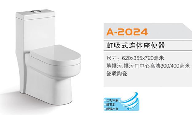 (2024)
