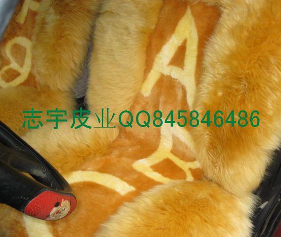 (ZY-002)