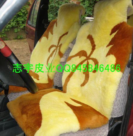 (ZY-007)