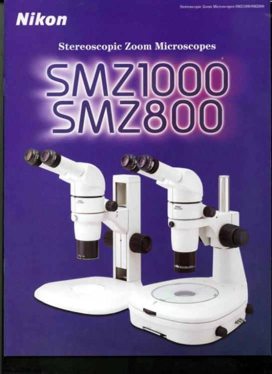 ῵΢SMZ800΢