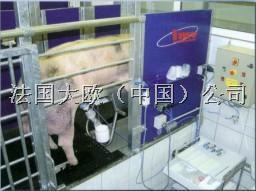 ŷIMVԶɾ豸
