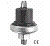 GEMSѹPS81-