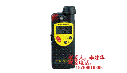 Яʽ׼EX2000