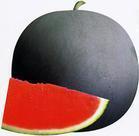 ӦĶɳ