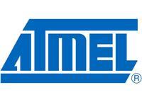 ATMEL(ATMEGA164PV-10M)