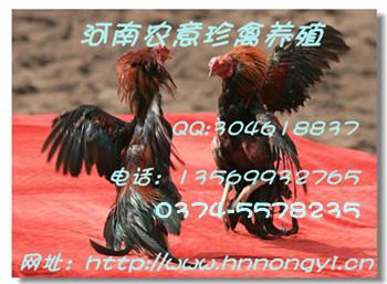 ϶ֳҰѼ