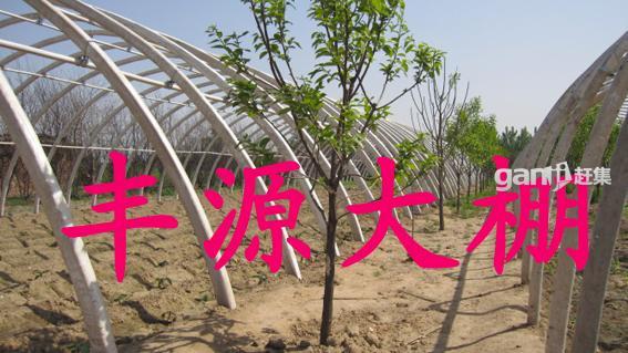 Ǽܻ豸ֹܴǼֽܻṹǼܻ