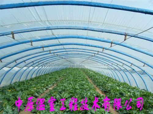 复合材料养殖温室大棚中原温室工程