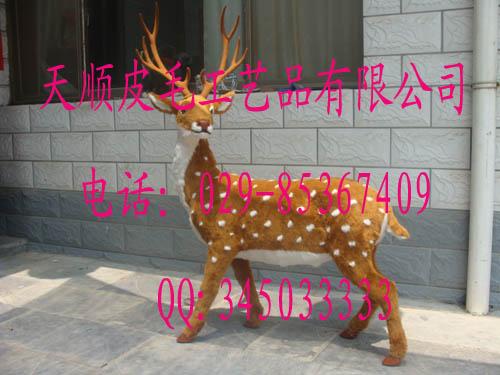 ϻ˳ϻ