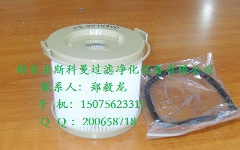 ˹FS2010300ˮо
