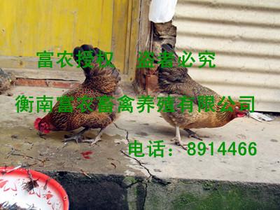 鼦(02)