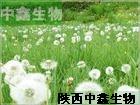 ѹӢȡ10:1