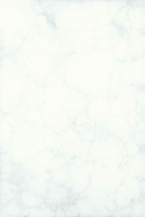 ѩʯ(JS-3011)
