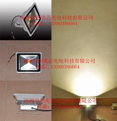 10W/30W/50W/70W/100W/120WɴLEDͶⷺ/LEDɫͶⷺ