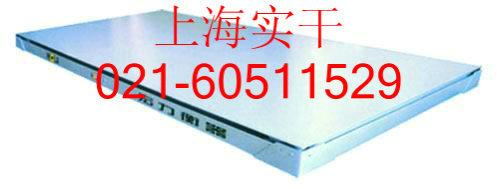 XK3190-A12Eơ2TXK3190-A12EƼ۸